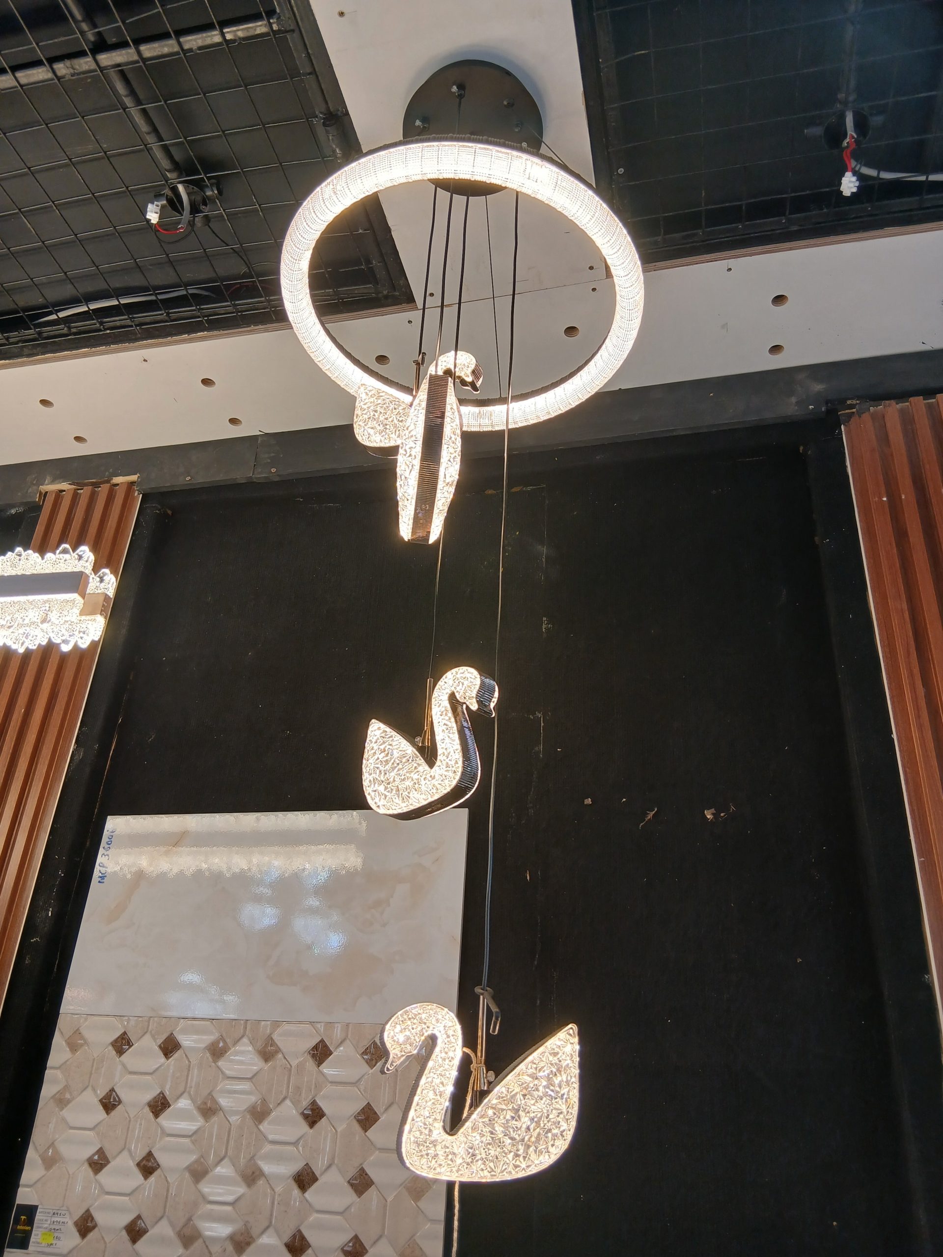 2026/03/53648-scaled.jpg 53648.jpg