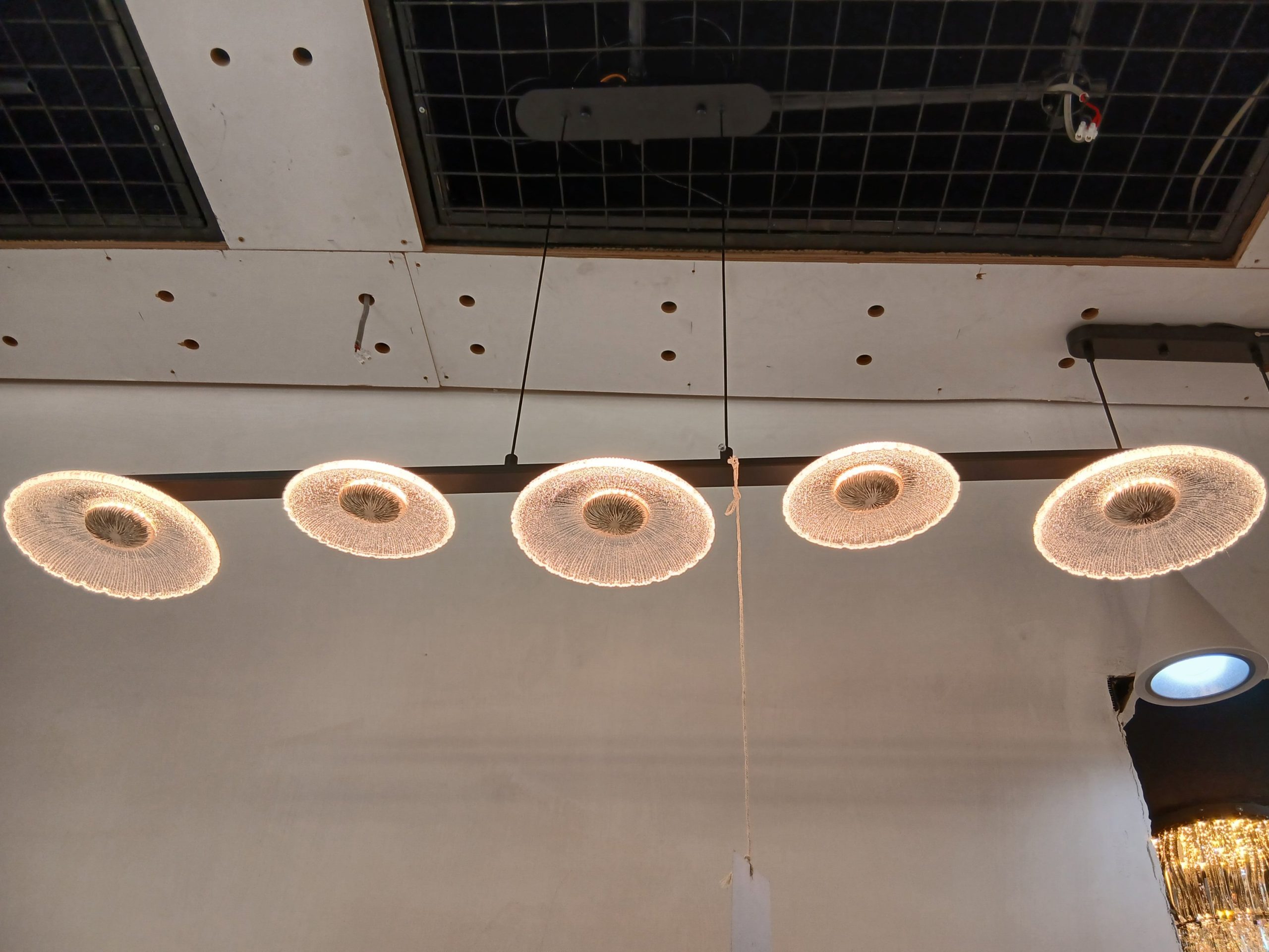 2026/03/53654-scaled.jpg 53654.jpg