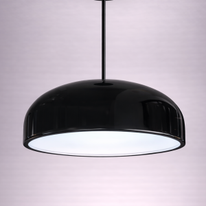 modern black pendant ceiling light – sleek circular led fixture (item code: 9011 486)